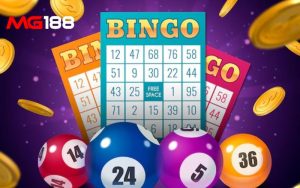 bingo-mg188-tinh-toan-so-the